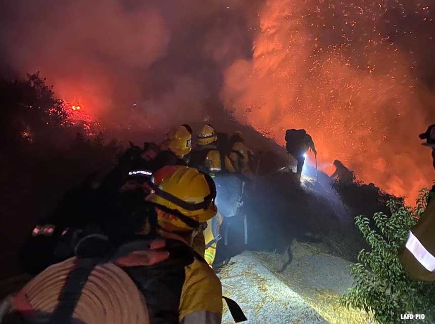 Wildland firefighters in Los Angeles