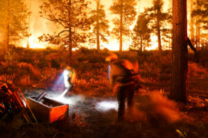 Wildland firefighters at South Lake Tahoe wildfire