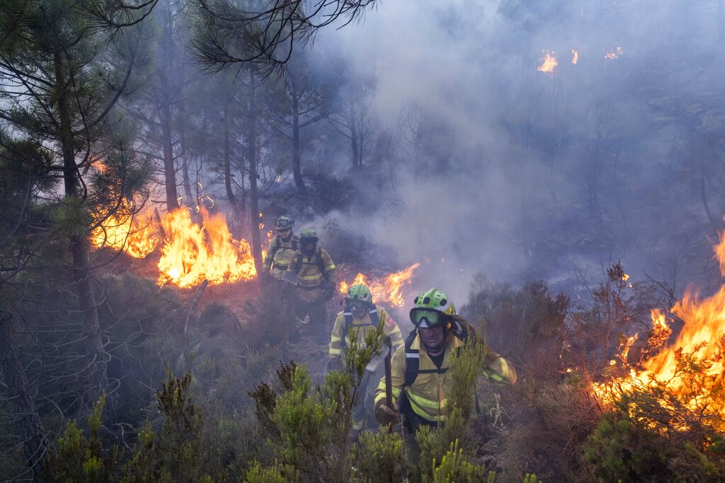 Forest fire in Malaga, Spain