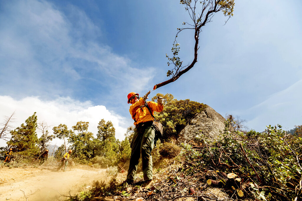 A member of the Roosevelt Hotshot Crew clears a firebreak.