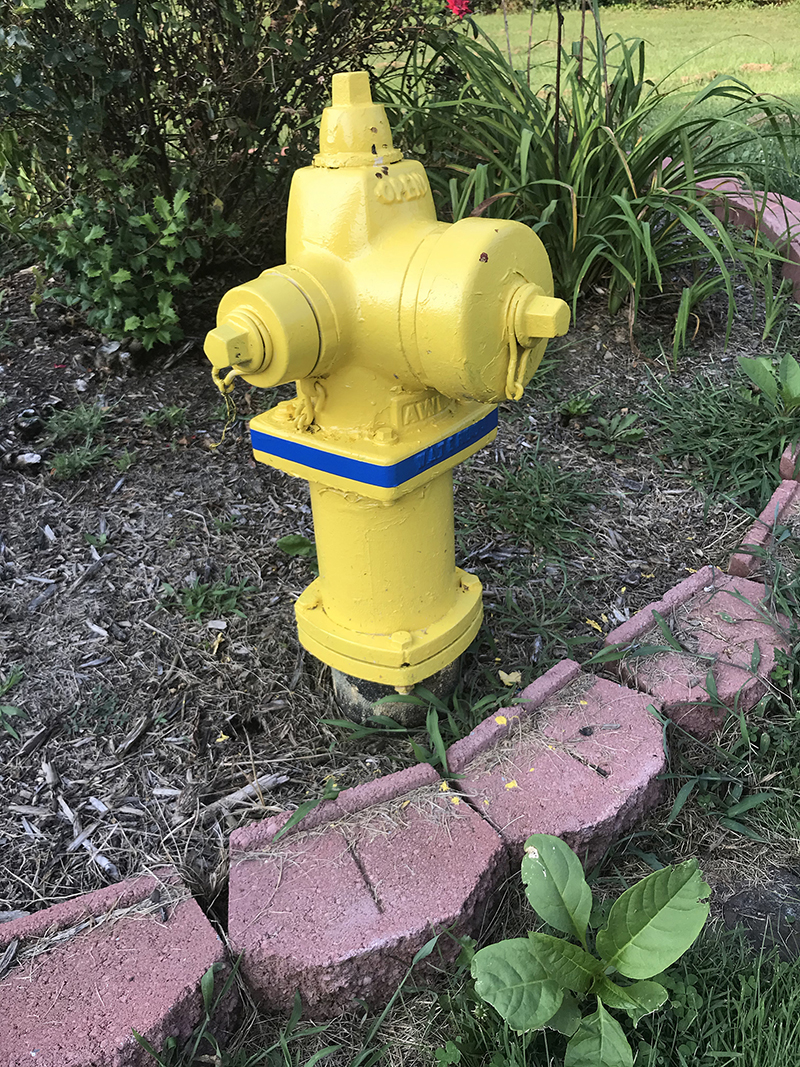 Sometimes, the area around hydrants has flower beds or decorative planters. This residence, despite having placed pavers around the hydrant and not giving a 36-inch clearance, kept plants an adequate distance away so firefighters would have access. 