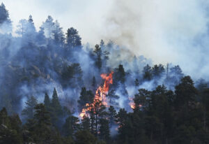 Larimer Co Wildfire