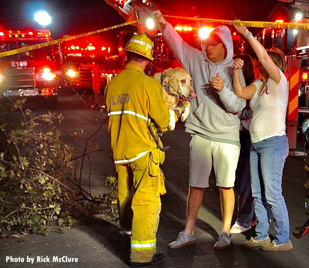 Firefighter hands rescued dog off to civilians