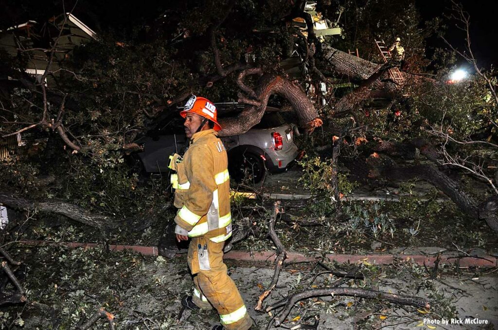 Firefighter at scene of fallen tree