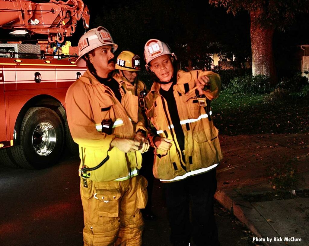 Fire chiefs at tree down