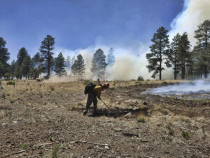 This photo provided by the Rincon Valley Fire District show crews working a wildfire on the outskirts of Flagstaff, Ariz., on Tuesday, June 14, 2022.