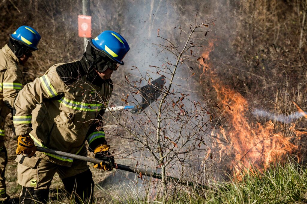 Firefighters operating in wildland conditions