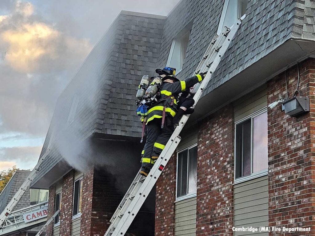 Firefighters perform rescue with ground ladder