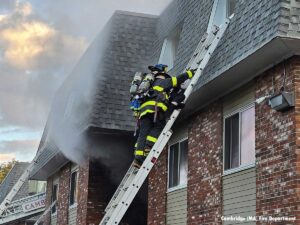 Firefighters perform rescue with ground ladder