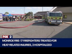 Monroe Township Michigan strip mall fire