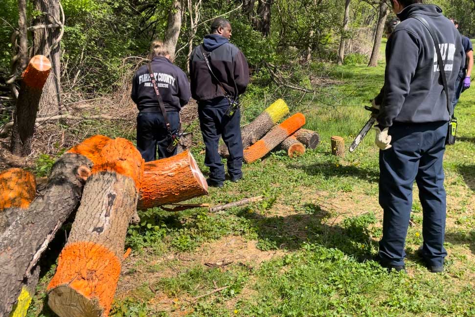 firefighters and logs