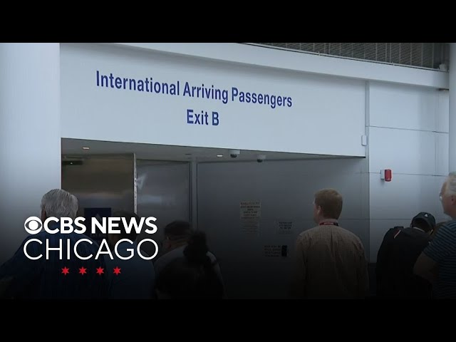 conveyor belt death Chicago O'Hare