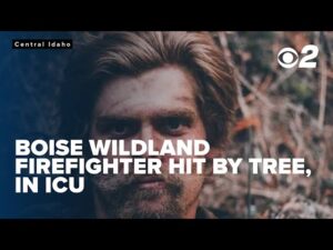 Wildland firefighter injured