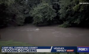 Storm Debby Flooding